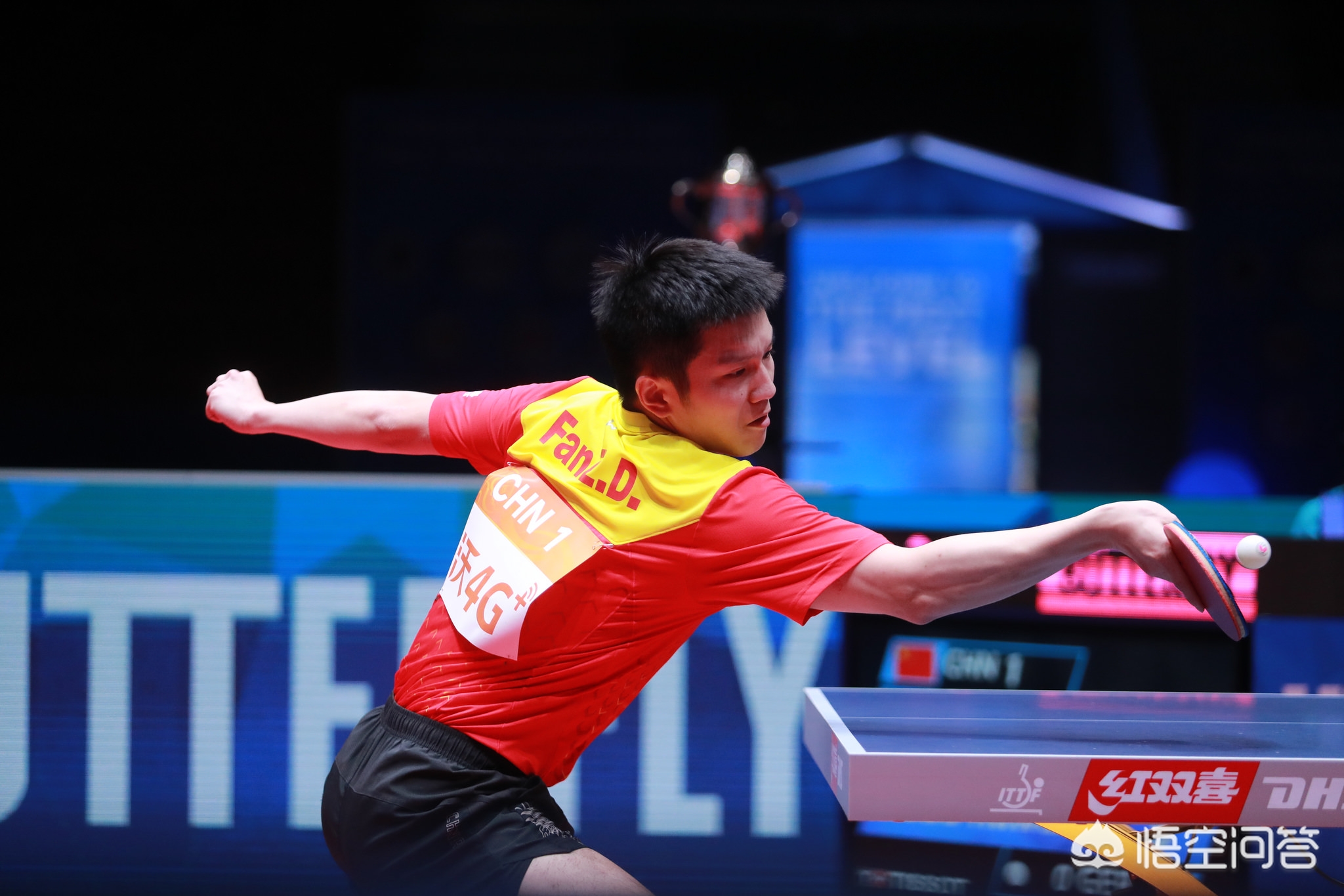 員極為罕見 員極為罕見