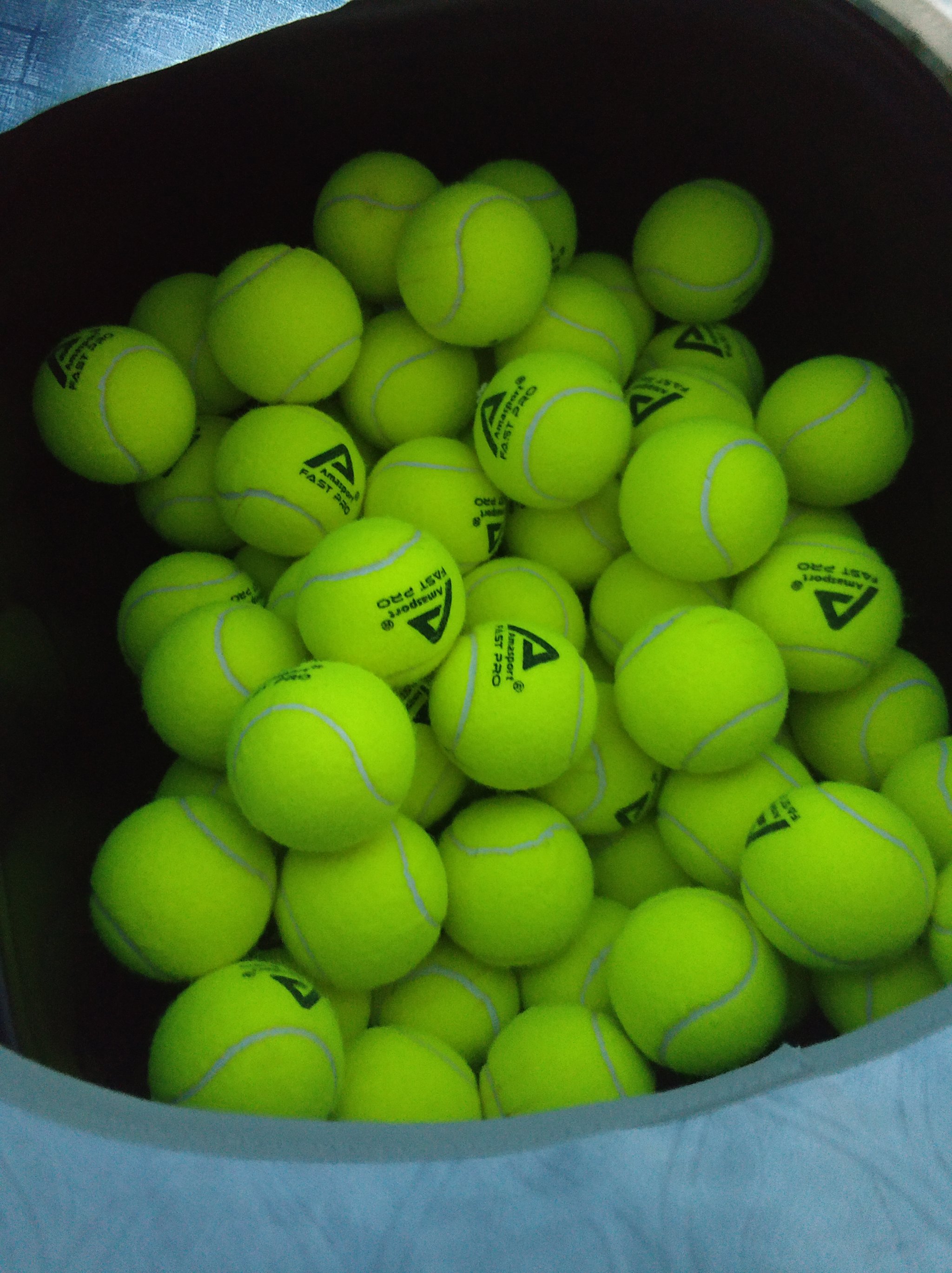 法国队凭借 法国队凭借